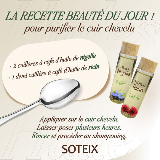 Schwarzk&uuml;mmel&ouml;l