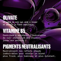 Ultimate Color Blonde Shampoo 250 ml