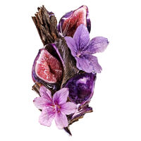 Keratin Alpha Sleek Disziplinierendes Shampoo Nachf&uuml;llpackung 500 ml