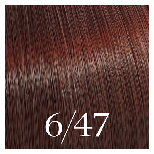 Semipermanente Coloration Color Touch 6/47 dunkelblond mit kupferfarbenen Braunreflexen