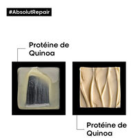 Intensives Restrukturierungs-Duo Absolut Repair