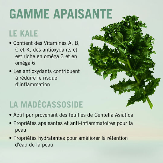 Bonacure Scalp Care - Set f&uuml;r gereizte Kopfhaut