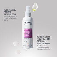 T&auml;gliches F&ouml;hnspray Heat Styling