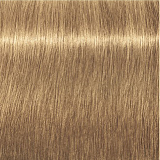 Igora Expert Mousse
