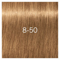 Igora Royal Absolutes 8-50