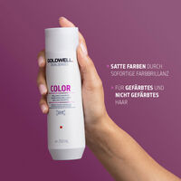 Pflegeprogramm f&uuml;r coloriertes Haar