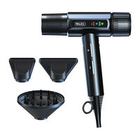 Haartrockner Vanquish Schwarz