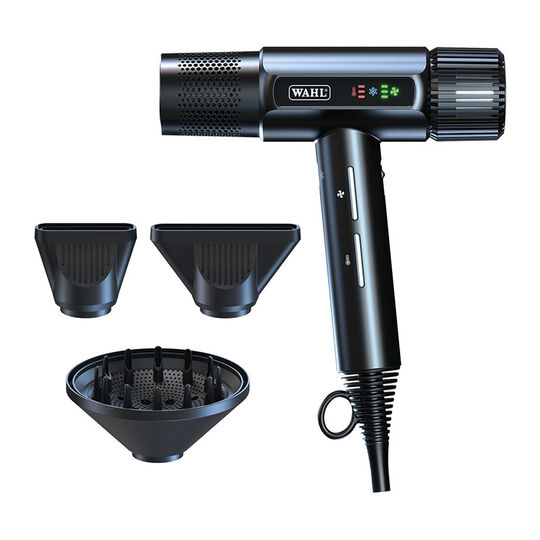 Haartrockner Vanquish Schwarz