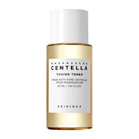 Madagascar Centella Travel Kit