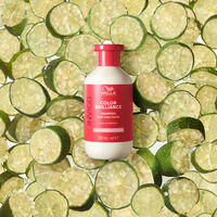 Invigo Color Brilliance Shampoo f&uuml;r feines bis normales coloriertes Haar