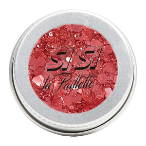 Paillettes grav&eacute; dans la brique