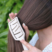 Extensions B&uuml;rste