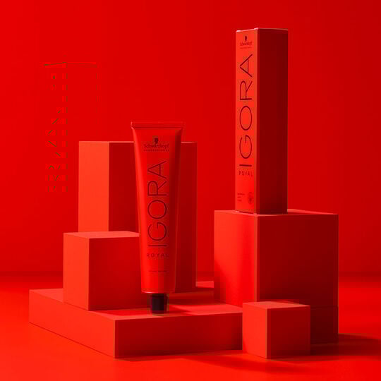 Permanente Haarfarbe Igora Royal 6-4 Dunkelblond Beige