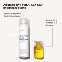 Trockenshampoo Nr. 4D