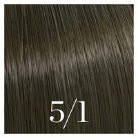 Semipermanente Coloration Color Touch 5/1 Hellkastanienbraun Asch