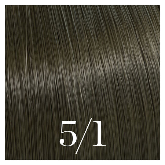 Semipermanente Coloration Color Touch 5/1 Hellkastanienbraun Asch
